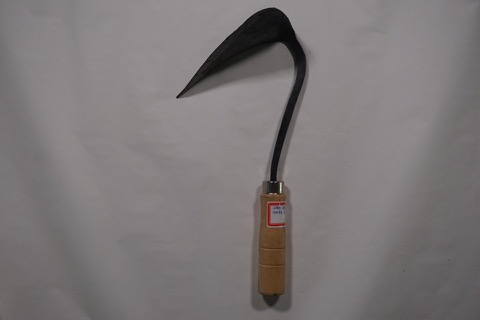 원일수도