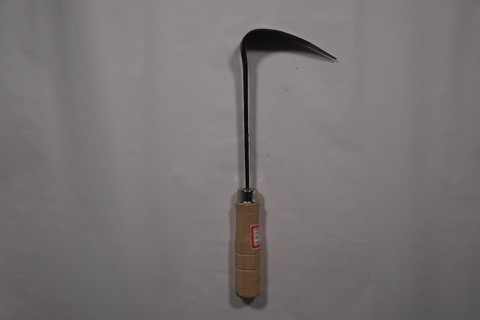 원일수도