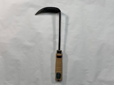 서울