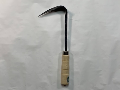 서울