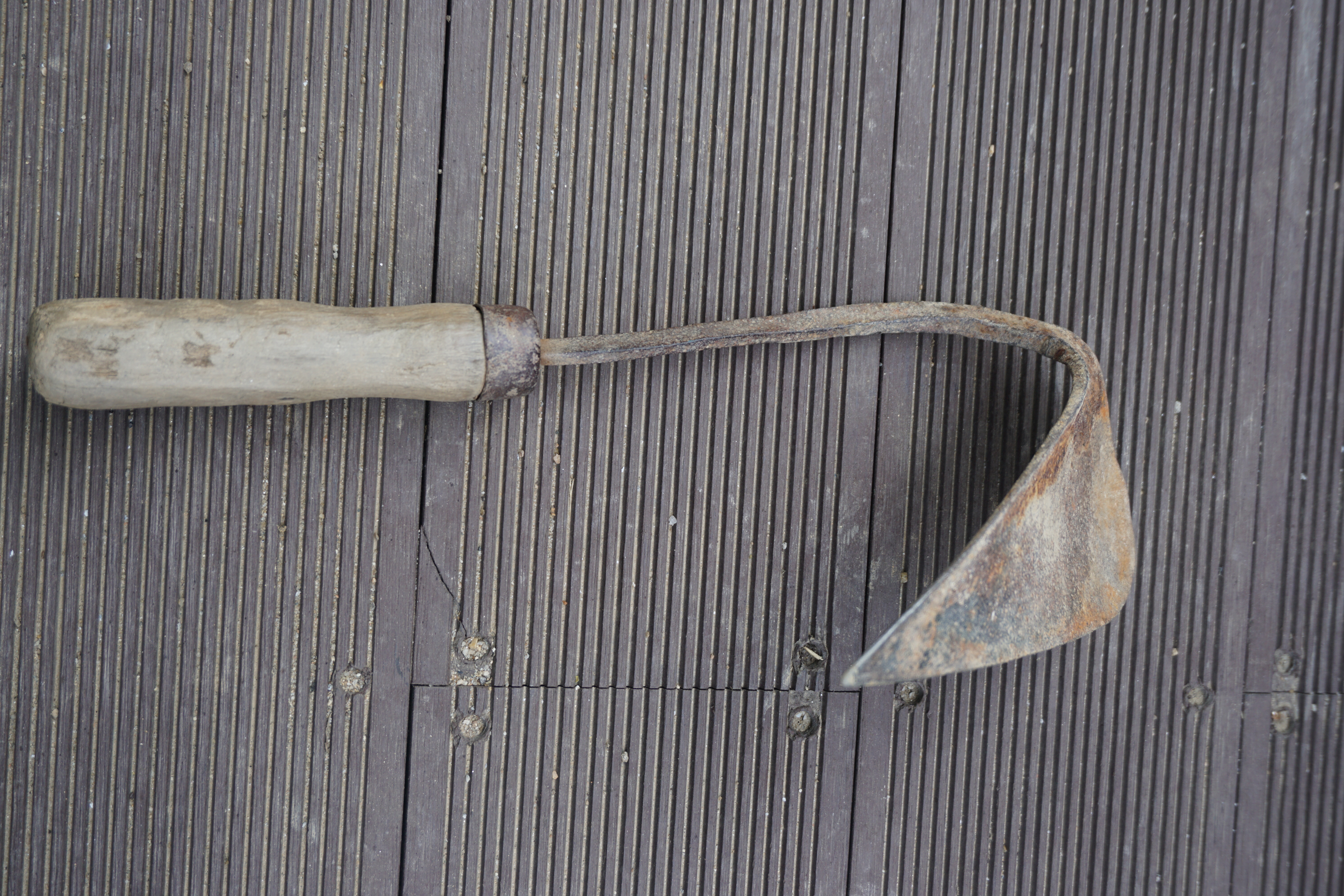 DSC08912