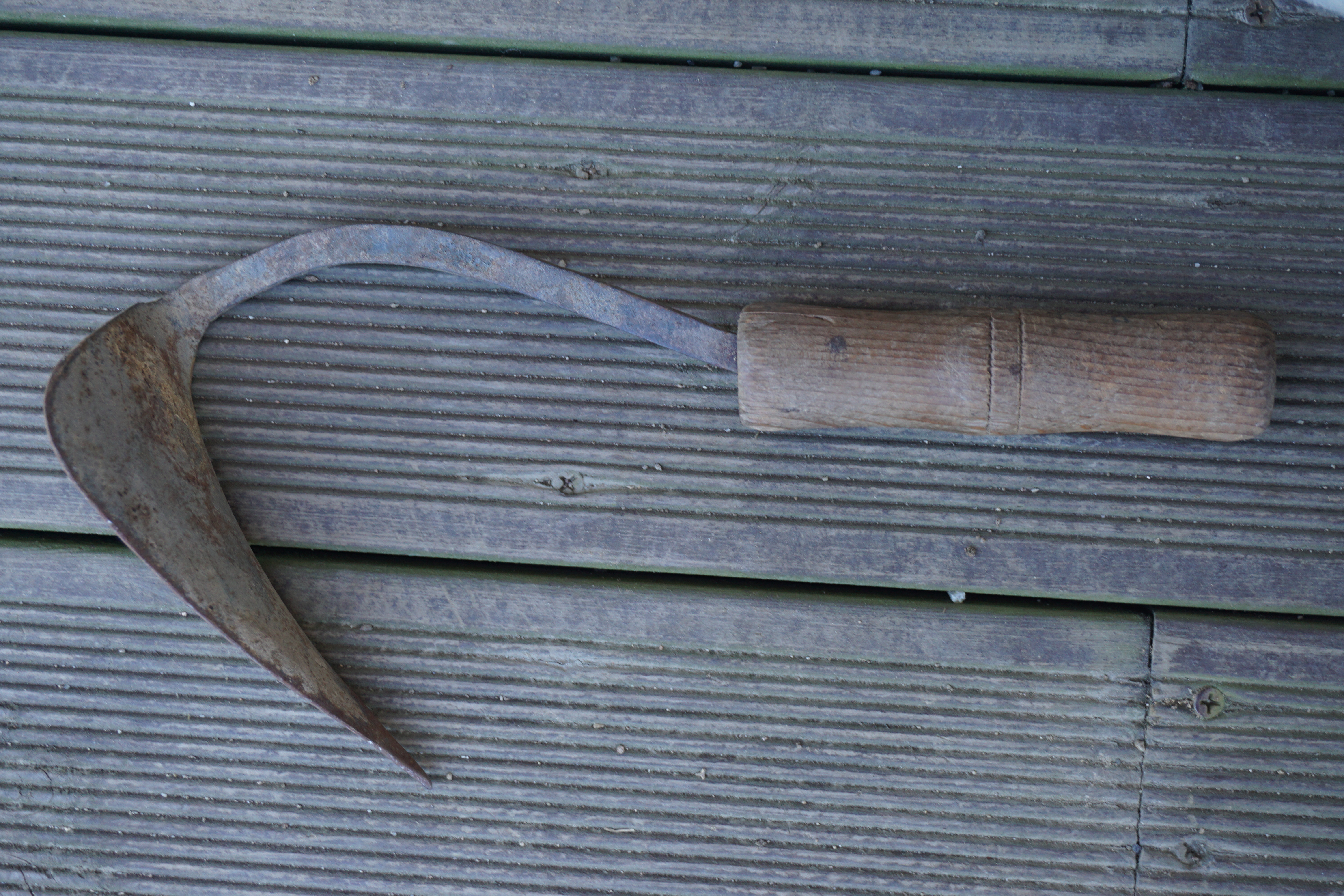 DSC00002
