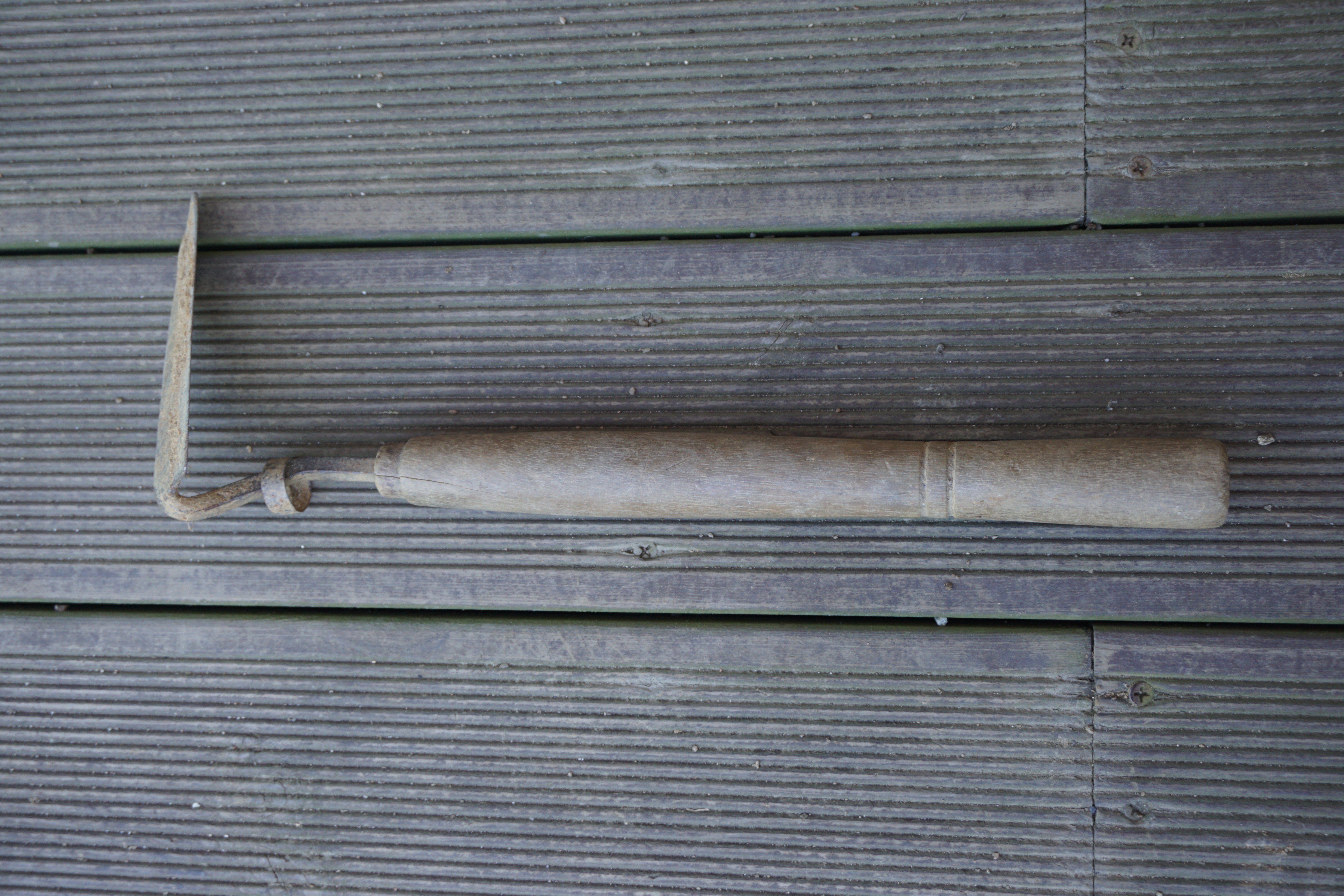 DSC00007