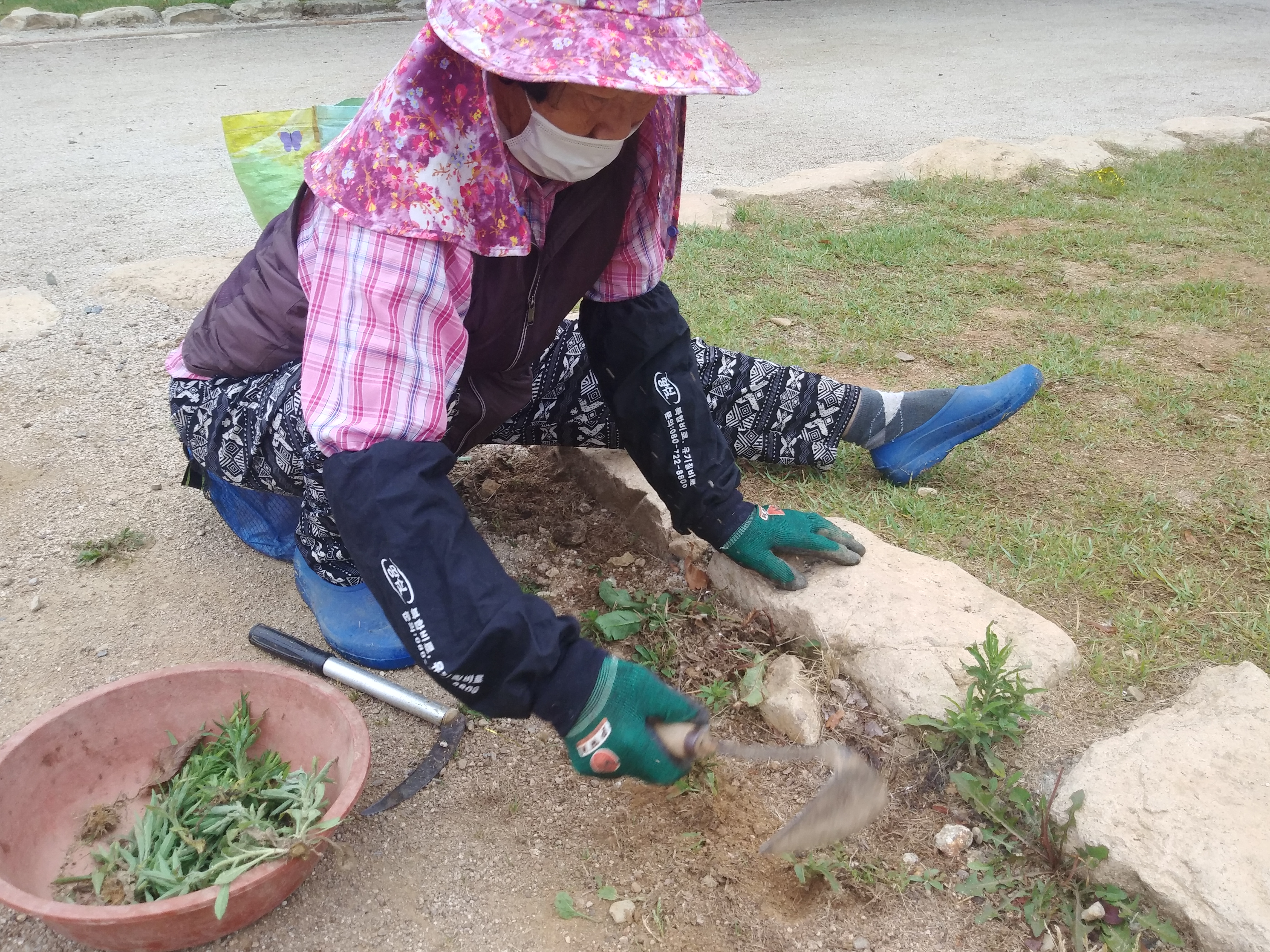 20220615_전남 순천시 낙안읍성