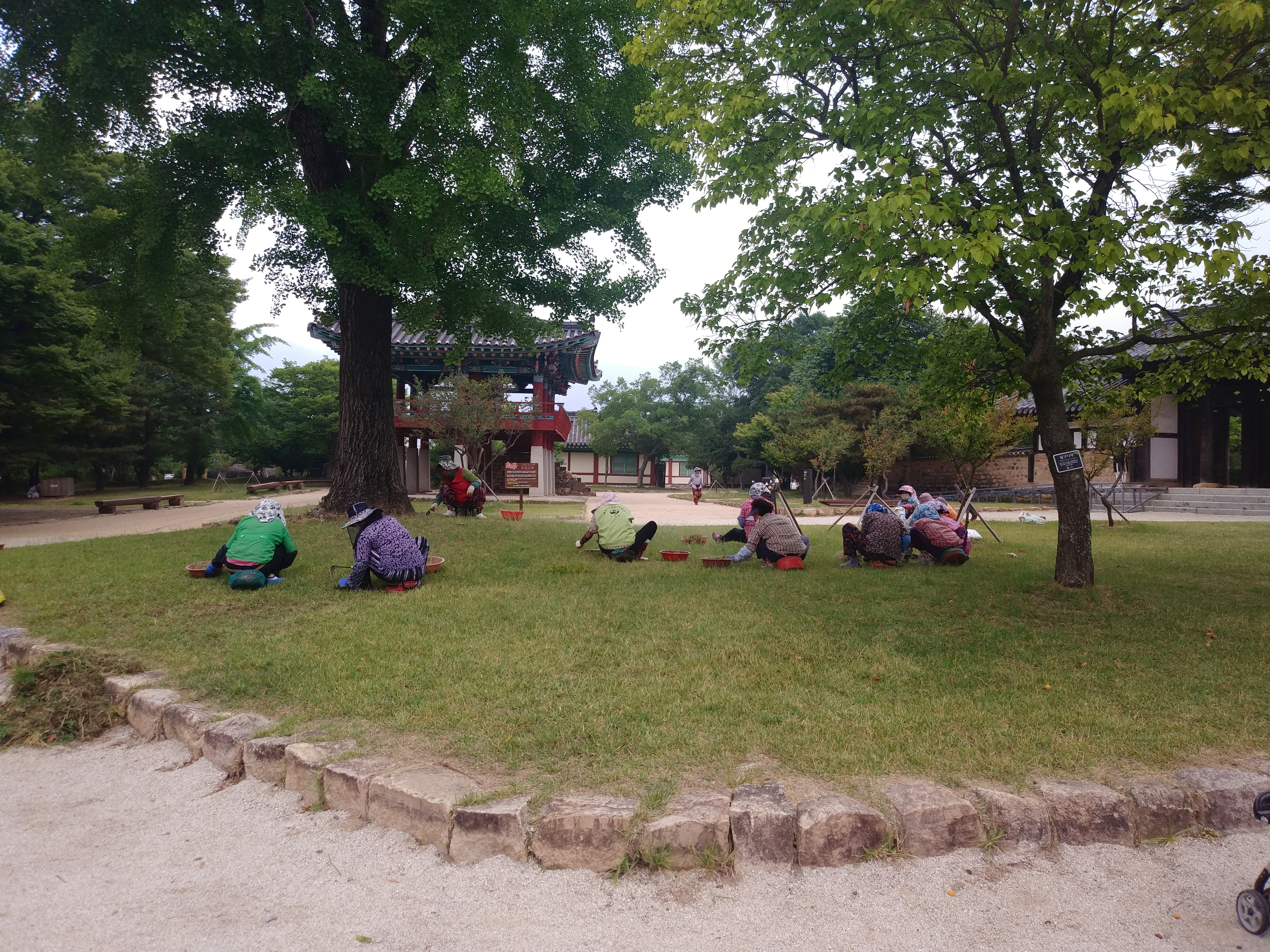 20220615_전남 순천시 낙안읍성