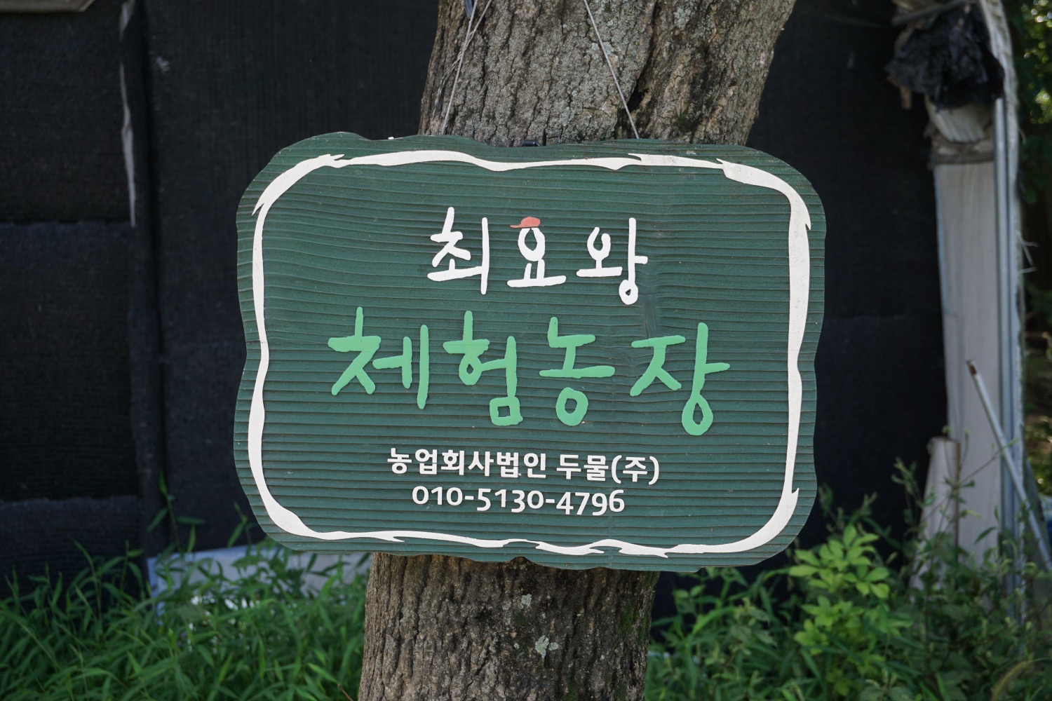 20220901_경기 양평군 부용1리