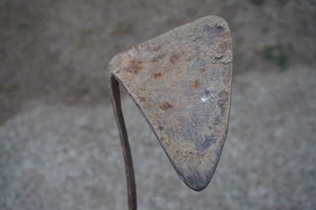 DSC08800