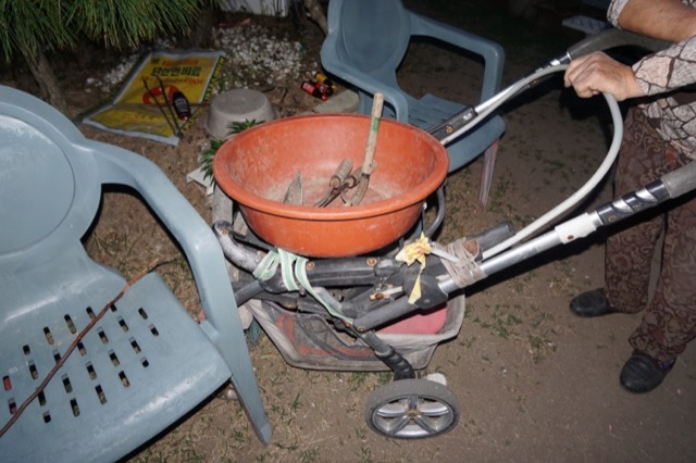 DSC08806