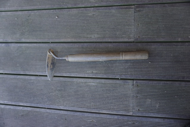 DSC00004