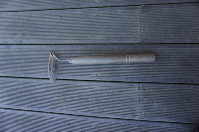 DSC00005