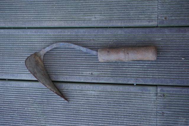 DSC00011