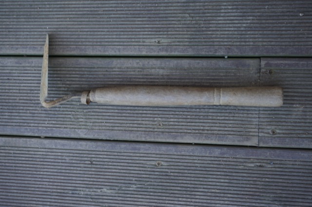 DSC00016