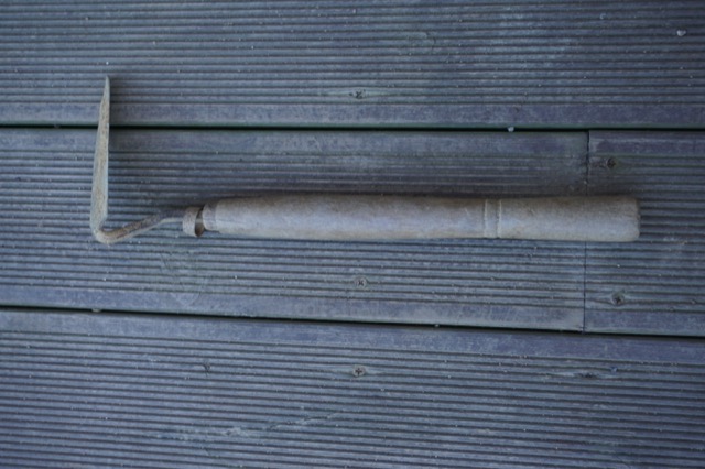 DSC00017